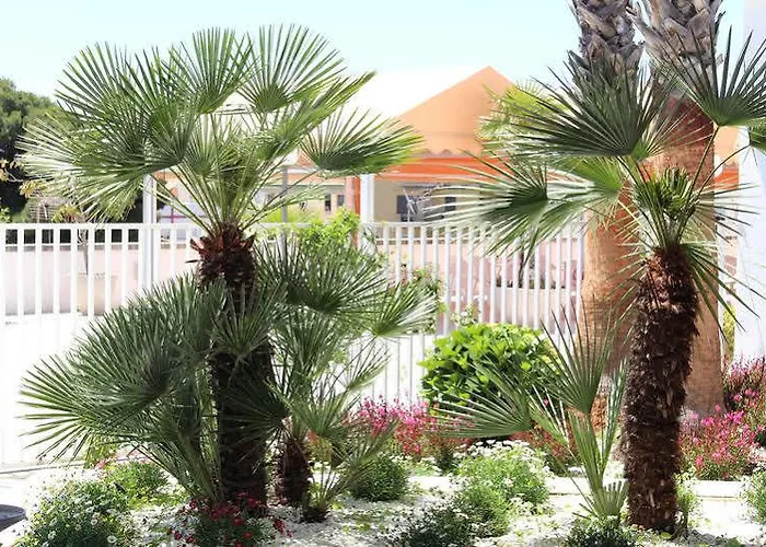 Suneo Costa Brava 4* يوريت دي مار